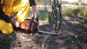 Landscape Design and Installation in Elgin, IL