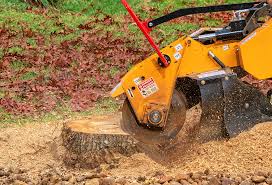  Elgin, IL Tree Services Pros