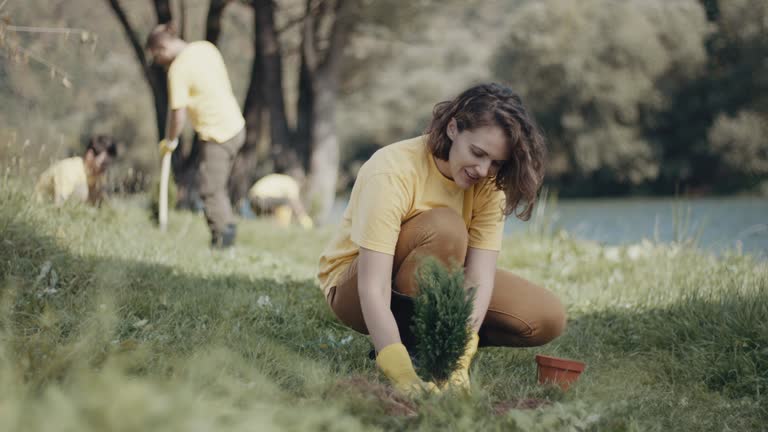 Best Pest Control for Lawns  in Elgin, IL